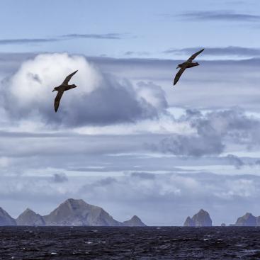 AVIS AUX PORTEURS DU FCP ALBATROS 48 
