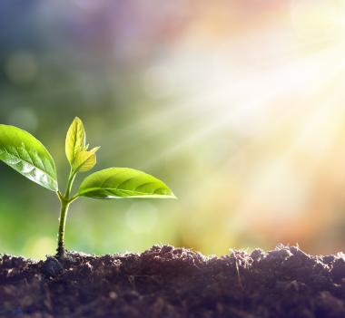 AVIS AUX PORTEURS DU FONDS VEGA PATRIMOINE ISR