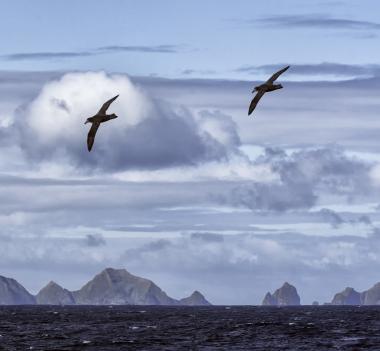 AVIS AUX PORTEURS DU FCP ALBATROS 48 